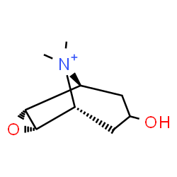 ChemSpider 2D Image | (1R,2S,4R,5S)-7-Hydroxy-9,9-dimethyl-3-oxa-9-azoniatricyclo[3.3.1.0~2,4~]nonane | C9H16NO2